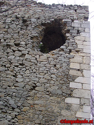 Ruine Scharfeneck bei Mannersdorf am Leithagebirge
