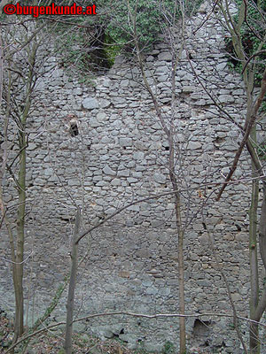 Ruine Scharfeneck bei Mannersdorf am Leithagebirge
