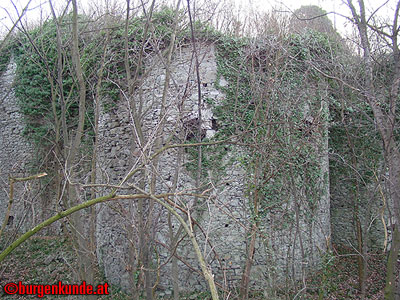 Ruine Scharfeneck bei Mannersdorf am Leithagebirge