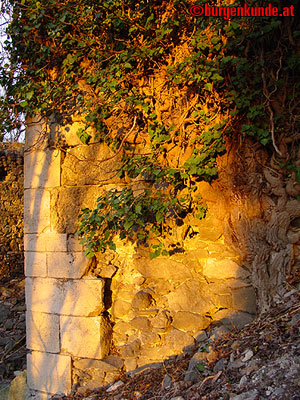 Ruine Scharfeneck bei Mannersdorf am Leithagebirge