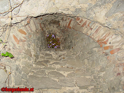 Ruine Scharfeneck bei Mannersdorf am Leithagebirge